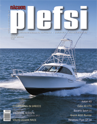 plefsi mag